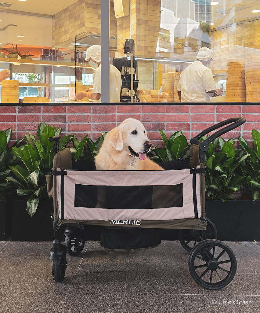 Watermelon pet stroller (Merlie MW 6) (Ver. 2)