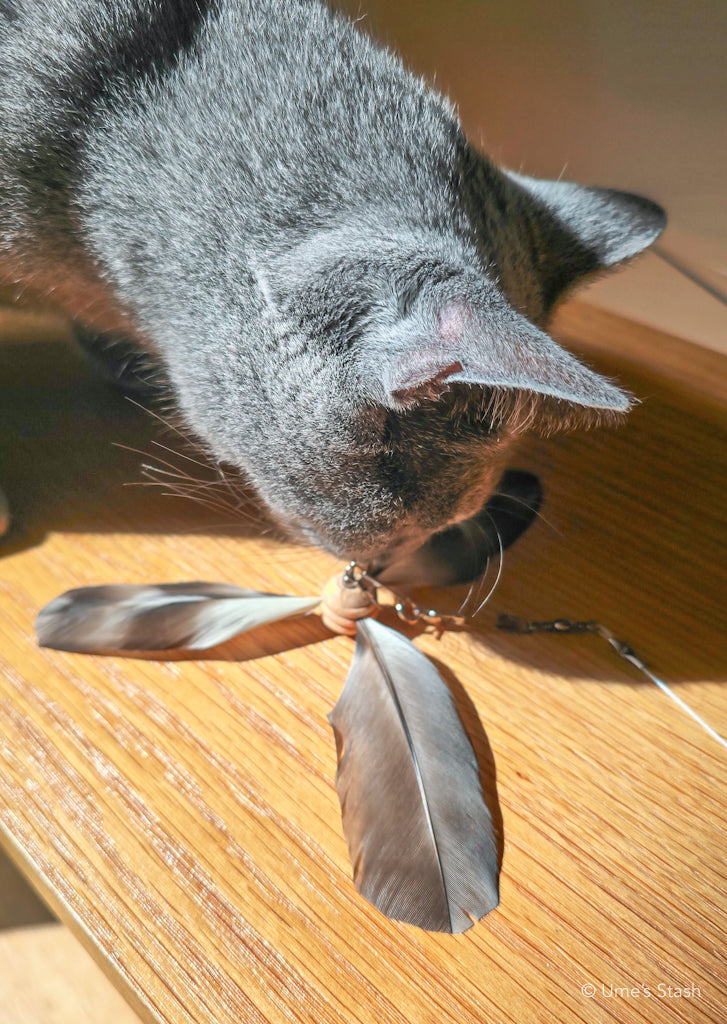Tornado feather wand attachment