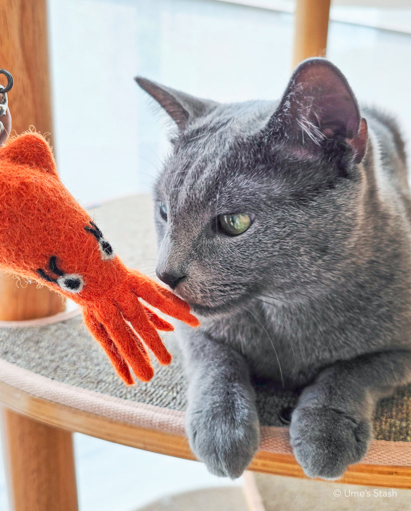 Big-eyed Squid wand attachment