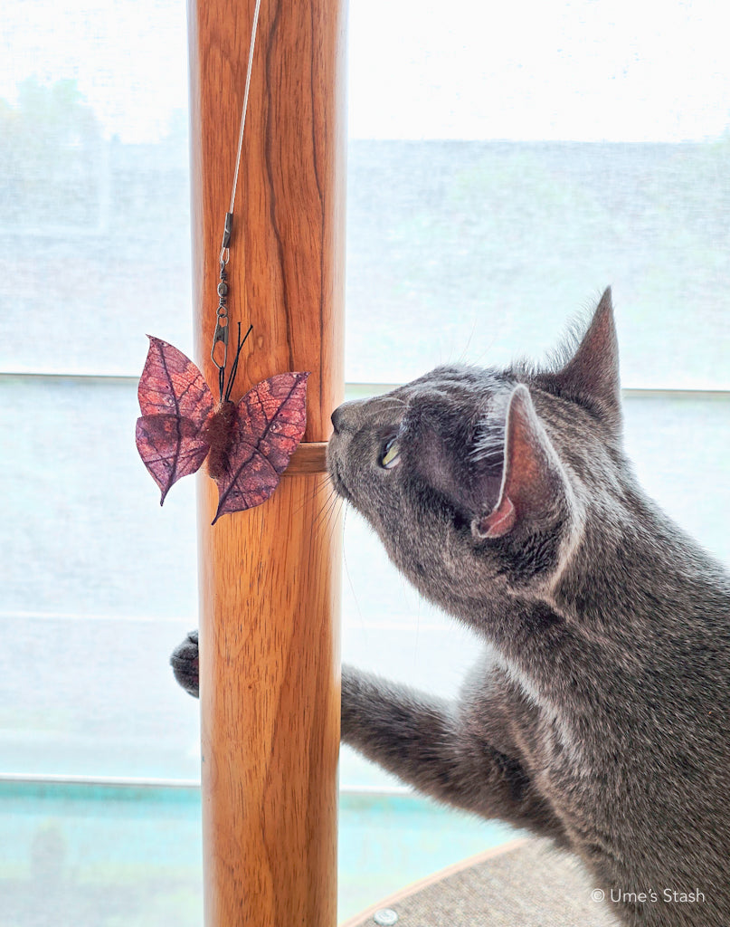 Emperor moth wand attachment