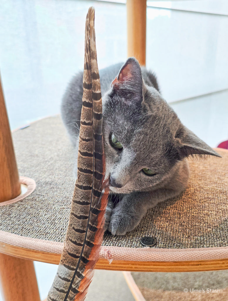 Silkie feather wand toy
