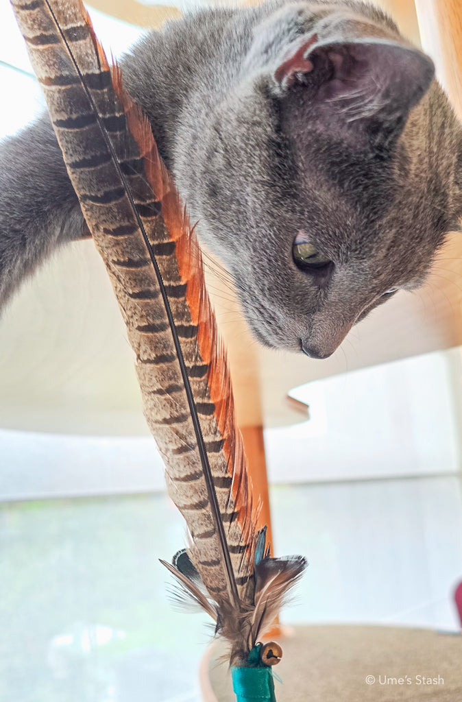 Silkie feather wand toy