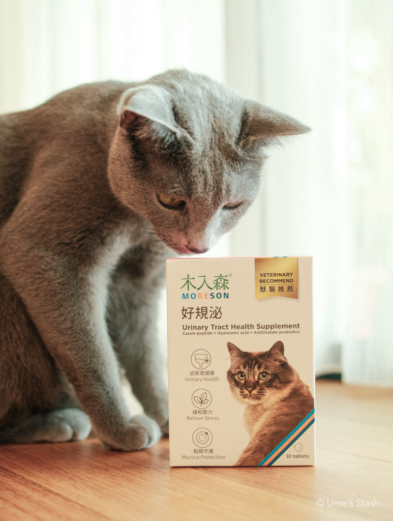 Cat Urinary Tract Health Support