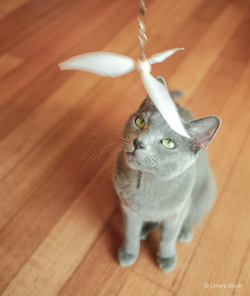 Hurricane feather wand attachment