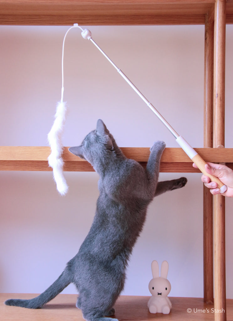 Holly cat wand - Ume's Stash - Cat teaser wand