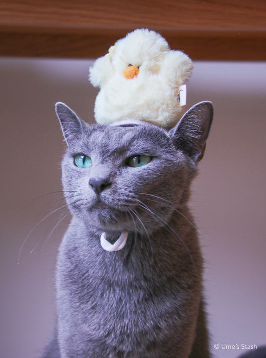 Fluffy chick hat