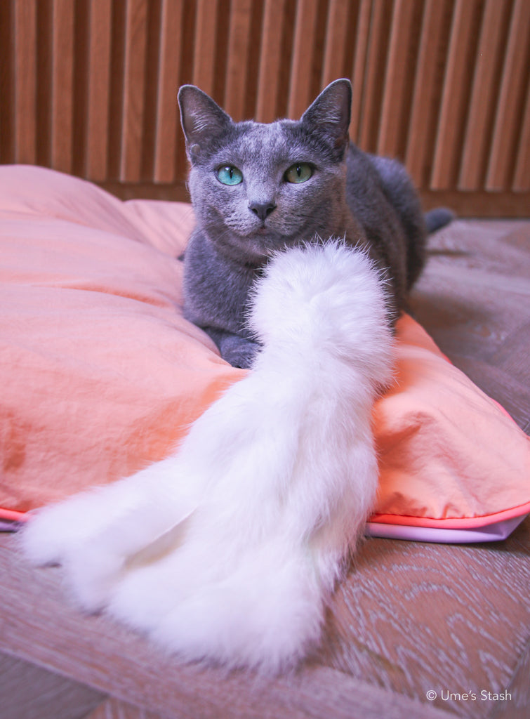 Sparkly Jellyfish Toy - Ume's Stash - Best cat toy