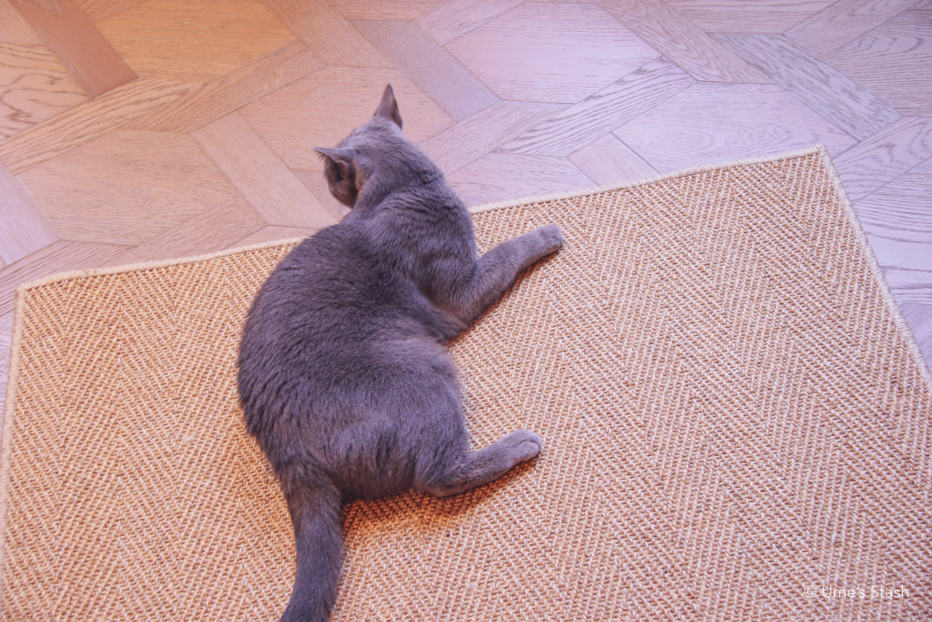 Herringbone scratcher rug (Rectangle)