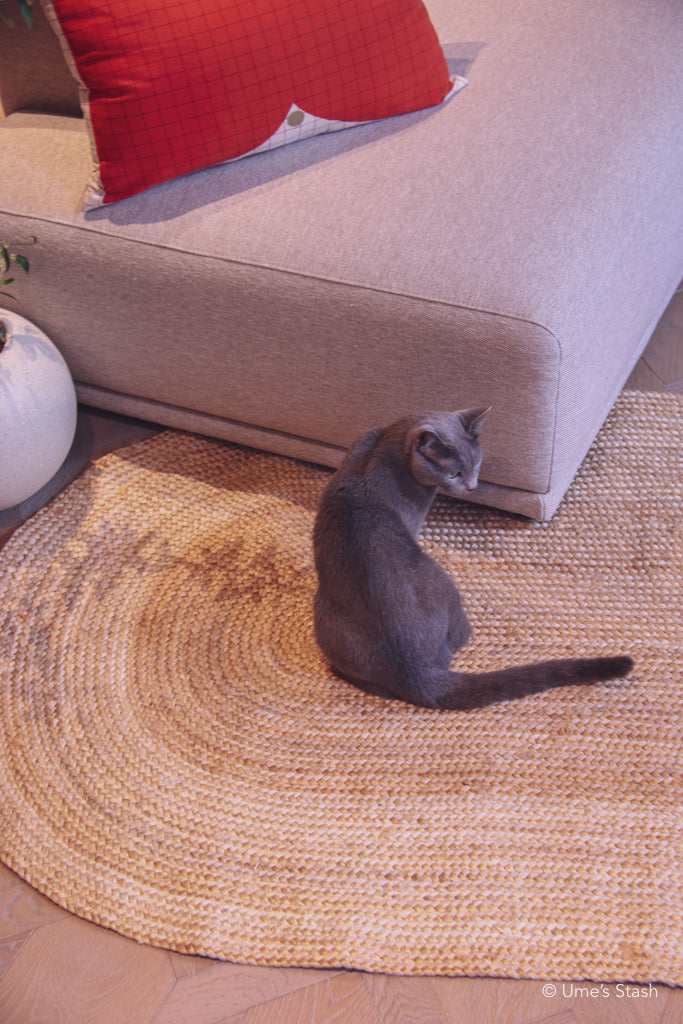 Whirlpool scratcher rug (Oval) - Ume's Stash - Scratcher mat