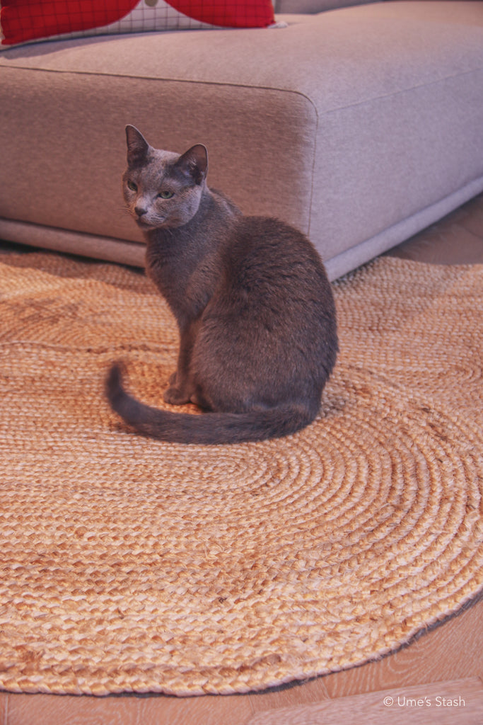 Whirlpool scratcher rug (Oval) - Ume's Stash - Scratcher mat