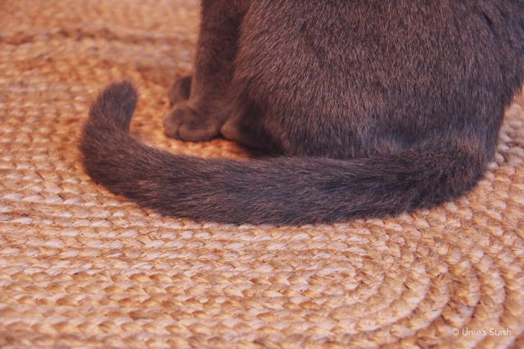 Whirlpool scratcher rug (Oval) - Ume's Stash - Scratcher mat