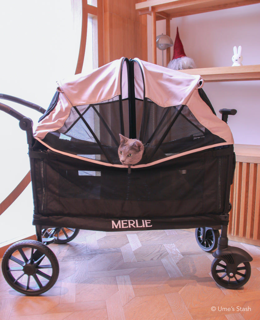 Watermelon pet stroller (Merlie MW 6) (Ver. 2)