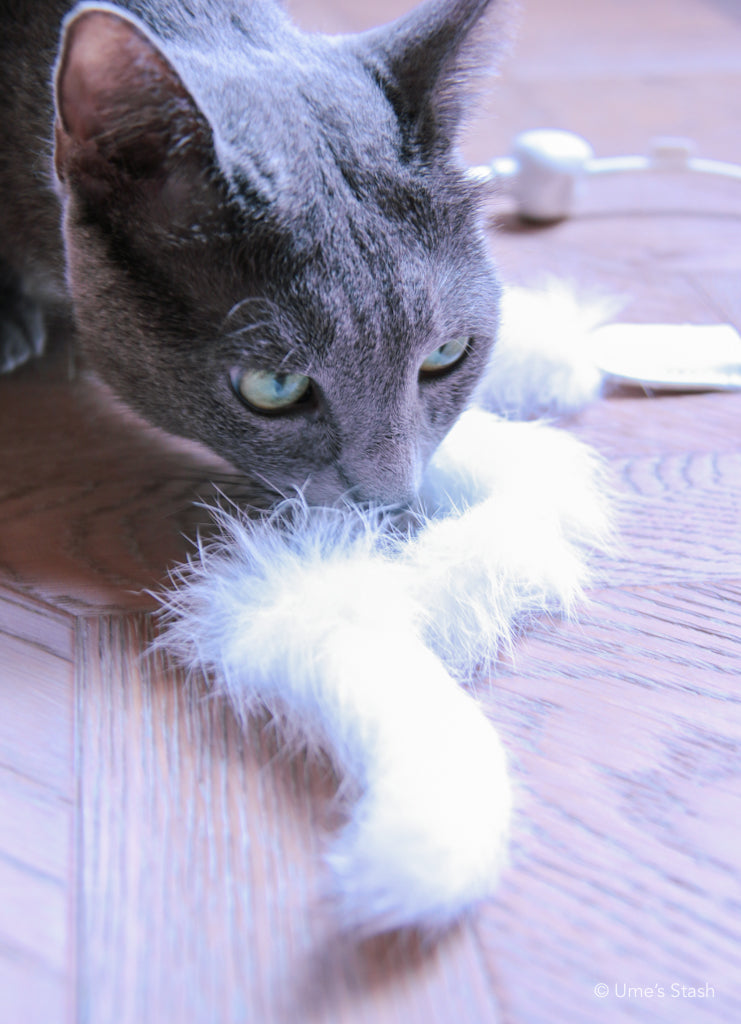 Holly cat wand - Ume's Stash - Cat teaser wand