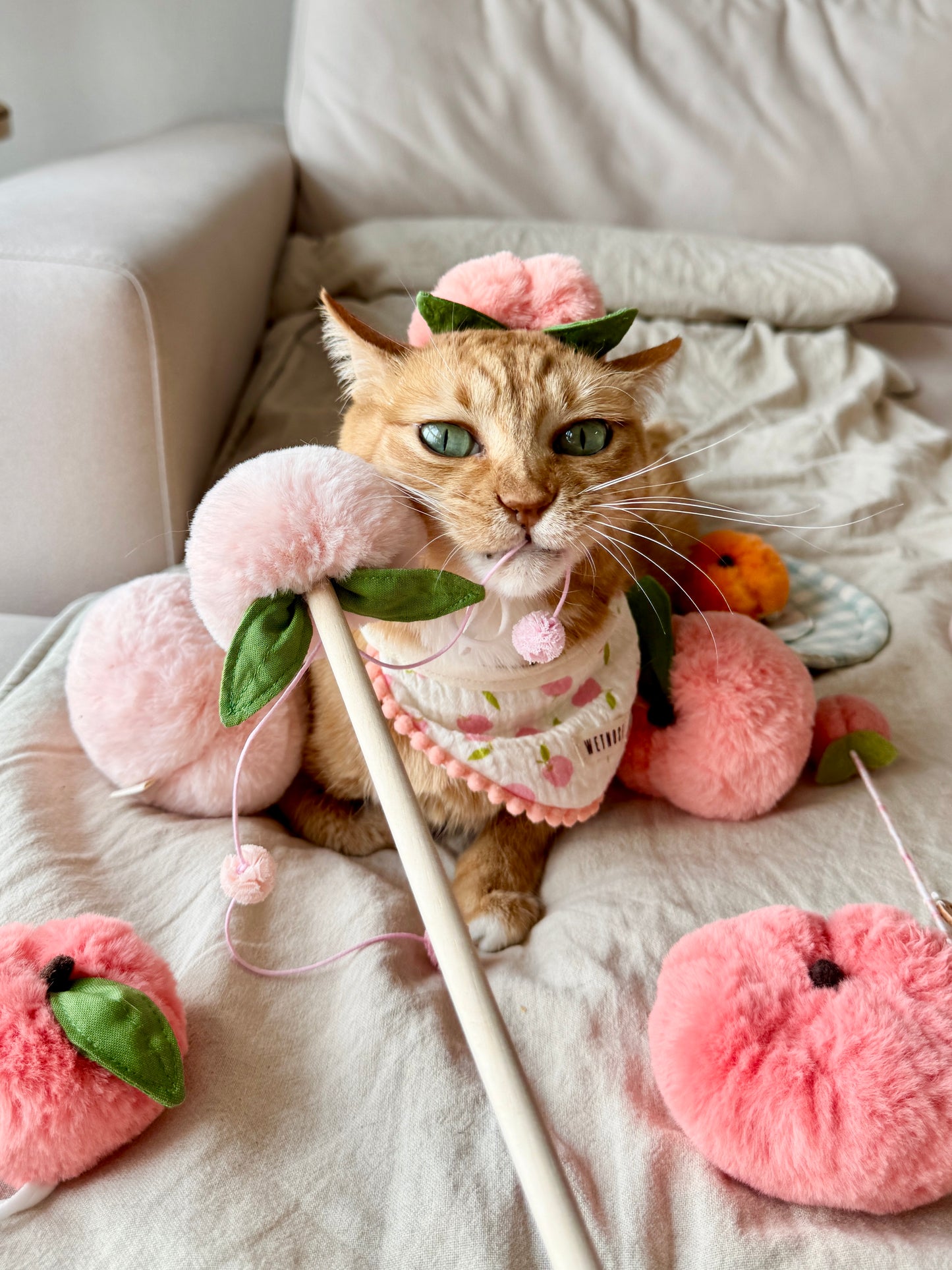 Plump peach hat