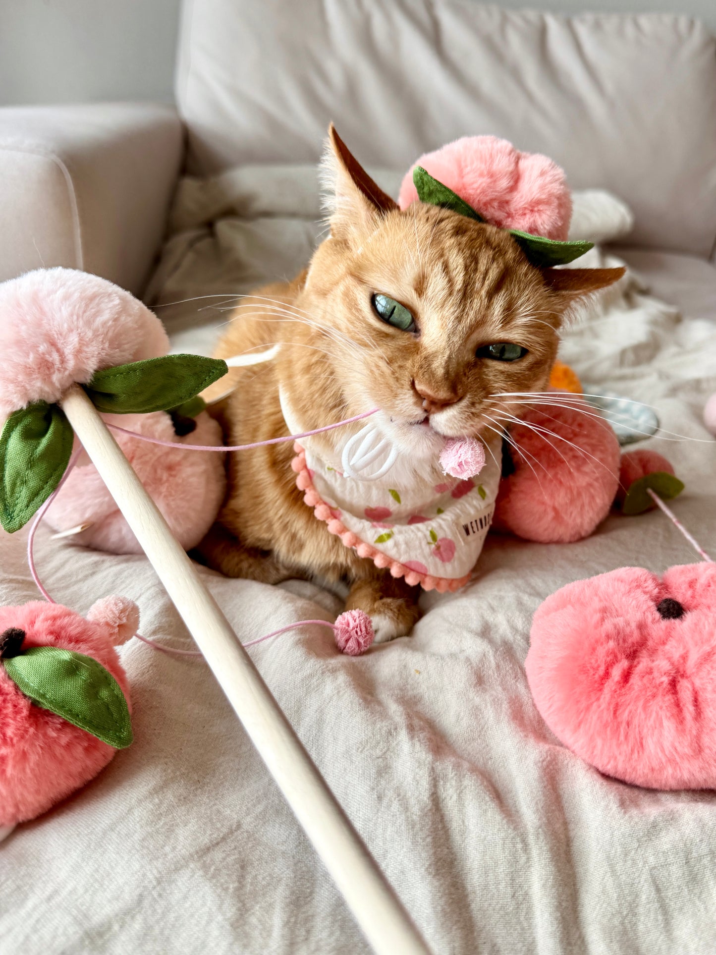Plump peach hat