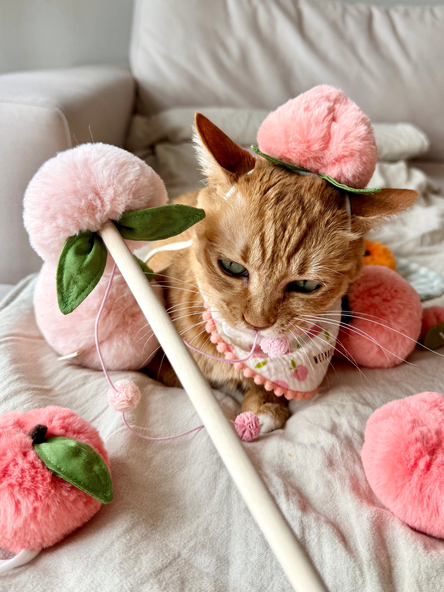 Plump peach hat