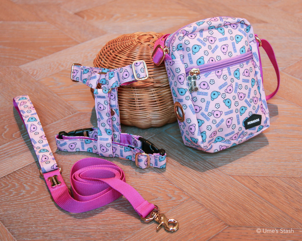 Spring sling bag (small)