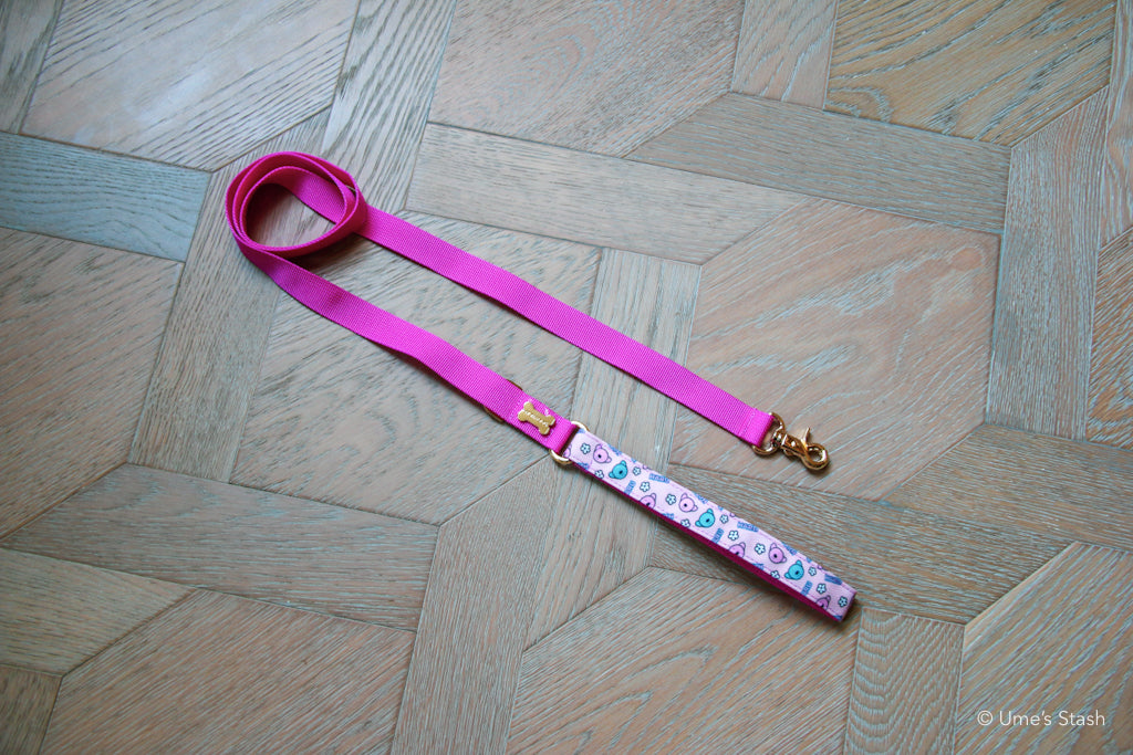 Spring hand leash