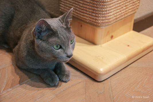 Tiang Menggaru Willow