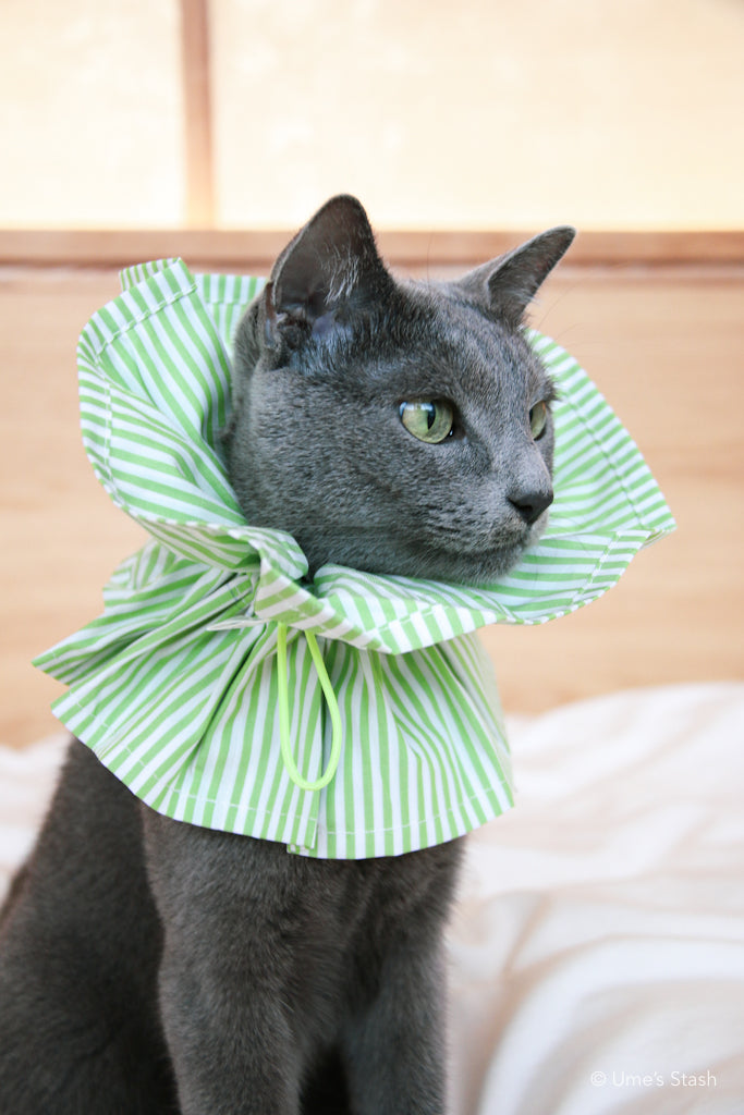 Candy-cane Elizabethan collar