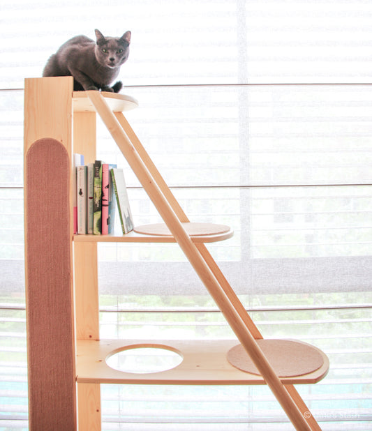Gingko bookshelf cat tree
