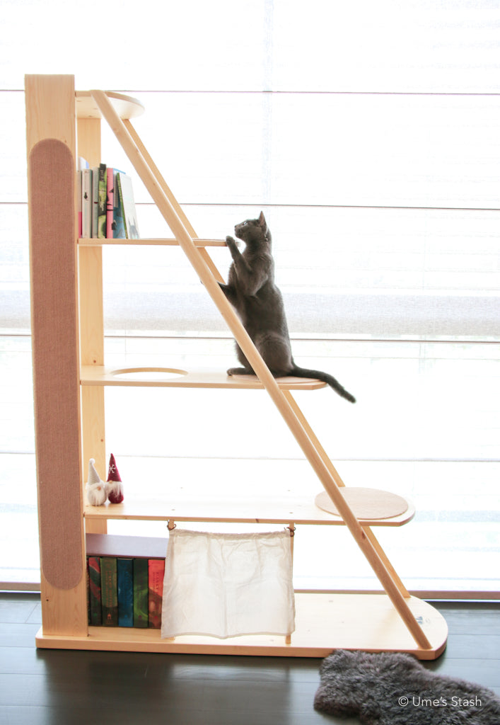 Gingko bookshelf cat tree