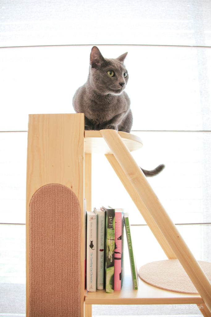 Gingko bookshelf cat tree