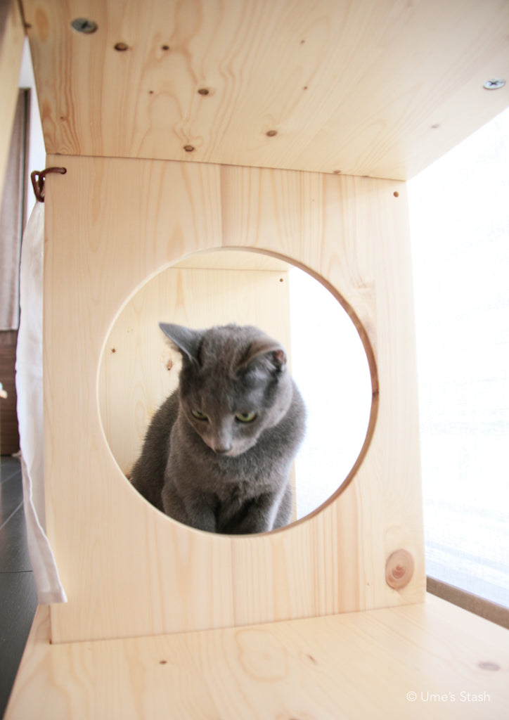 Gingko bookshelf cat tree