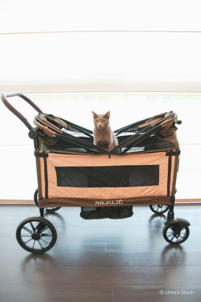 Watermelon pet stroller (Merlie MW6)