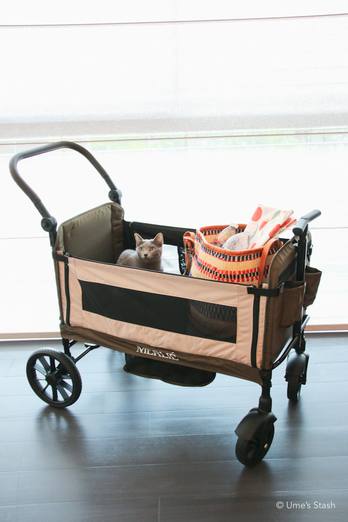 Watermelon pet stroller (Merlie MW6)