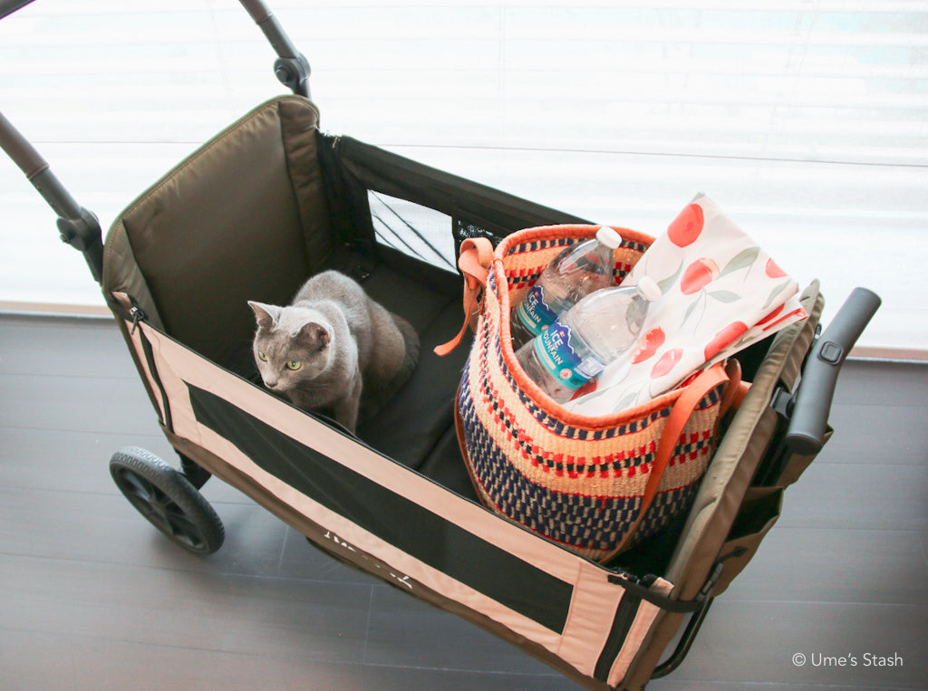 Watermelon pet stroller (Merlie MW6)