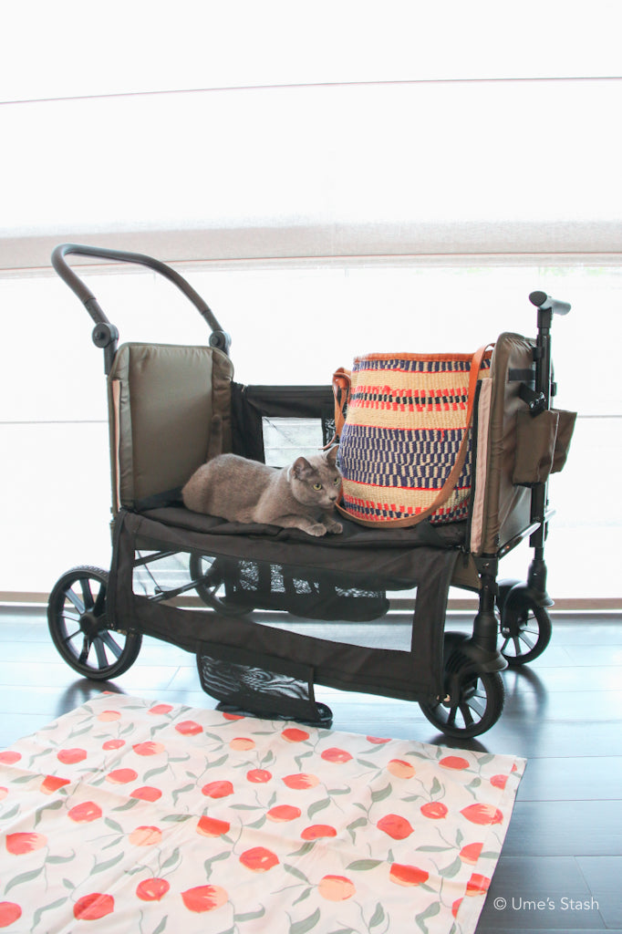Watermelon pet stroller (Merlie MW6)