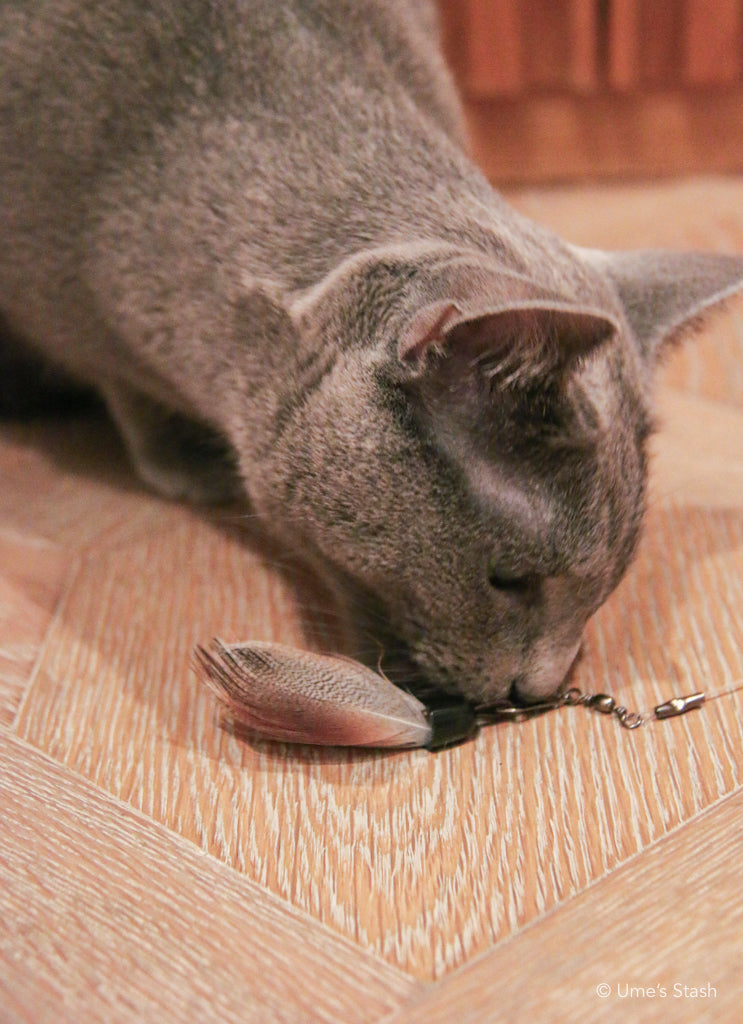 Lightning cat wand