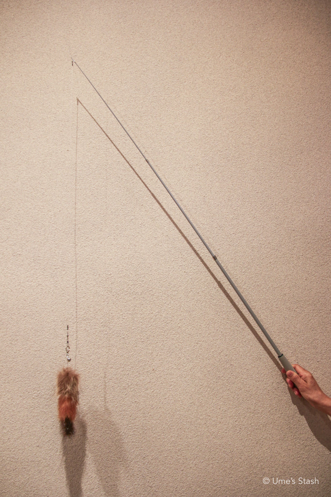 Lightning cat wand