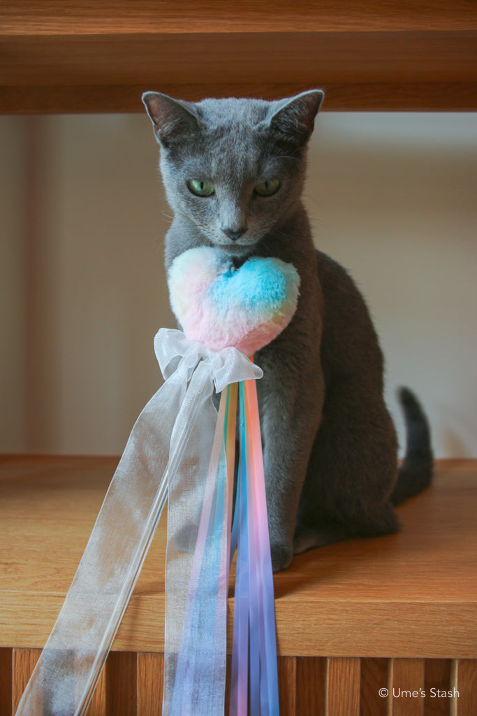 Rainbow heart teaser wand