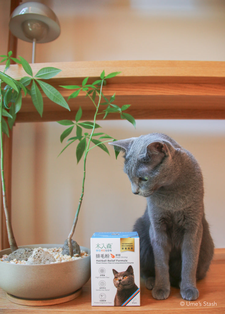 Cat Hairball Relief Formula
