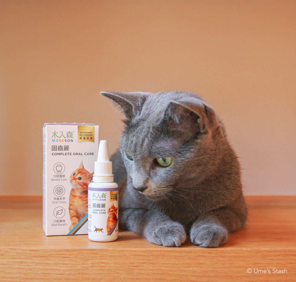 Cat Complete Oral Care Drops