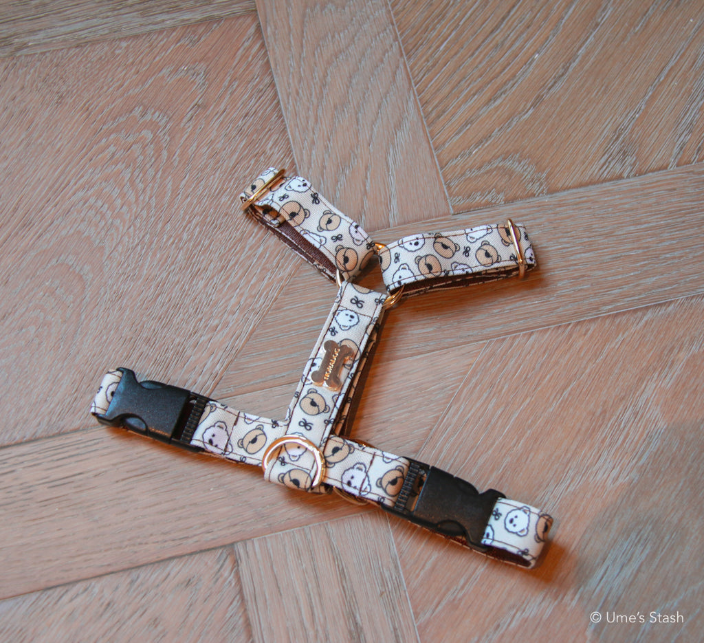 Paddington H-harness