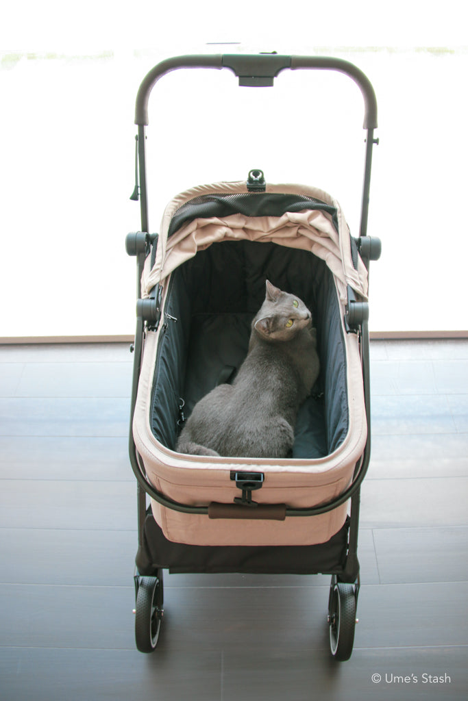 Peach pet stroller (Merlie MW3)