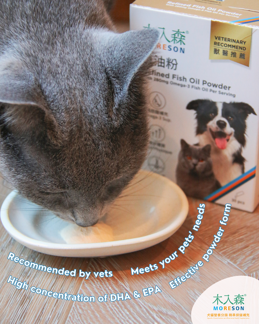 Refined Fish Oil Powder for Cats & Dogs
