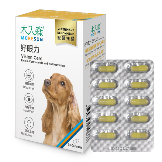 Dogs Vision Care