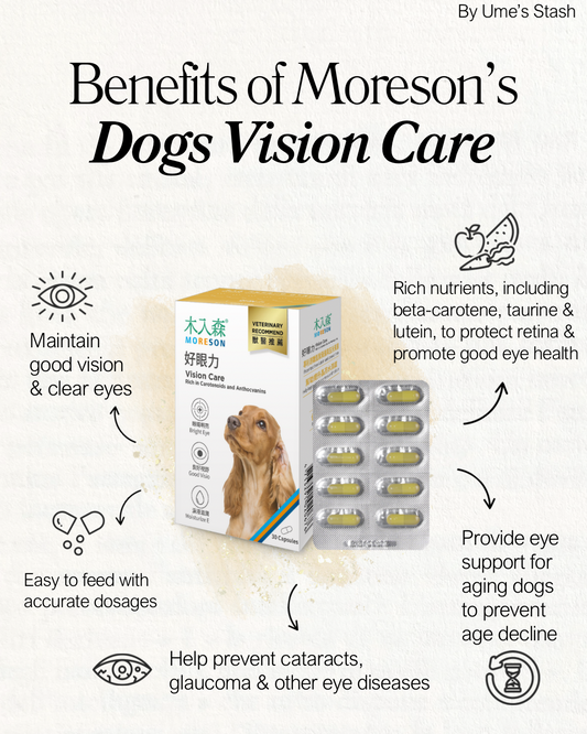 Dog Vision Care