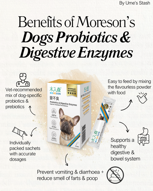 Dog Probiotics & Prebiotics