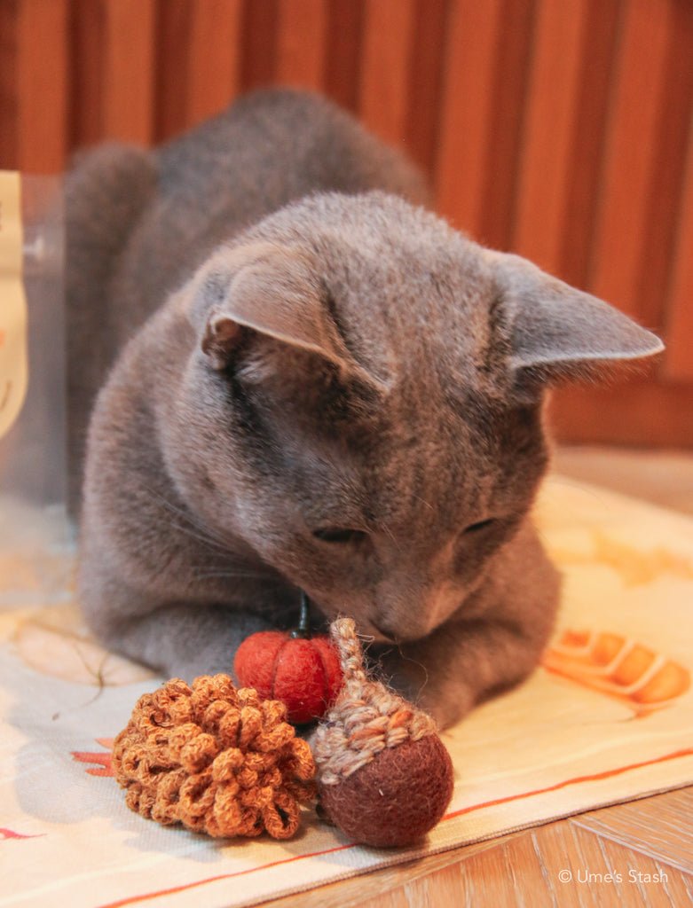 Best of Autumn cat toys - Ume's Stash