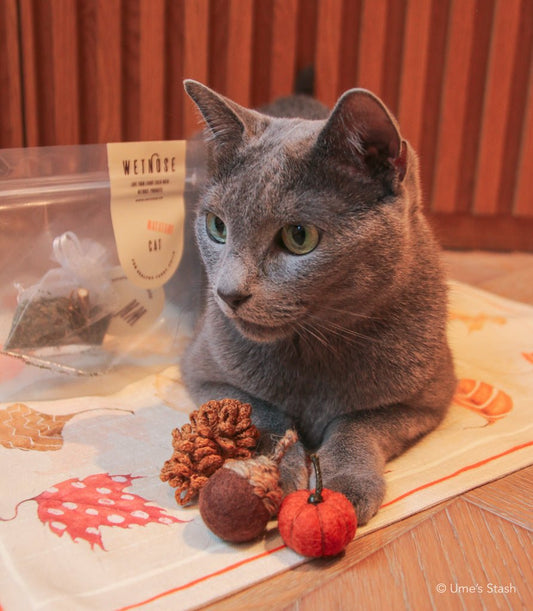 Best of Autumn cat toys - Ume's Stash