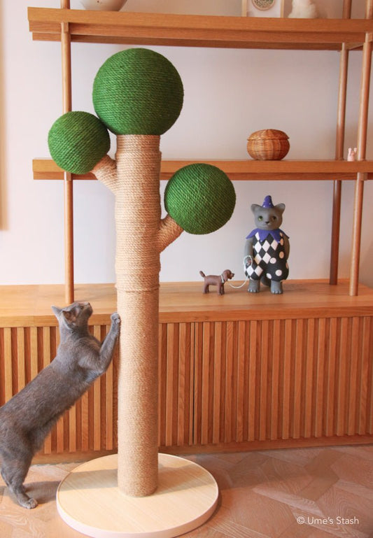 Bonsai scratching post - Ume's Stash