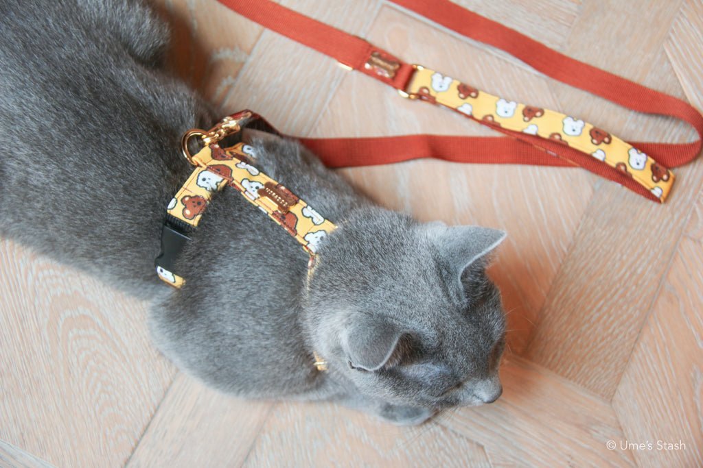 Brownie H-harness - Ume's Stash
