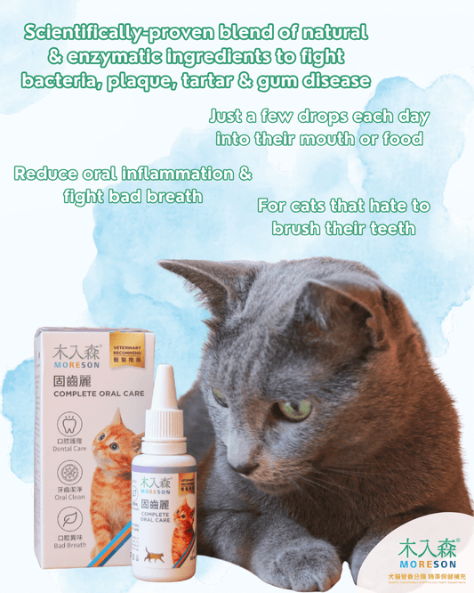 Cat Complete Oral Care Drops - Ume's Stash