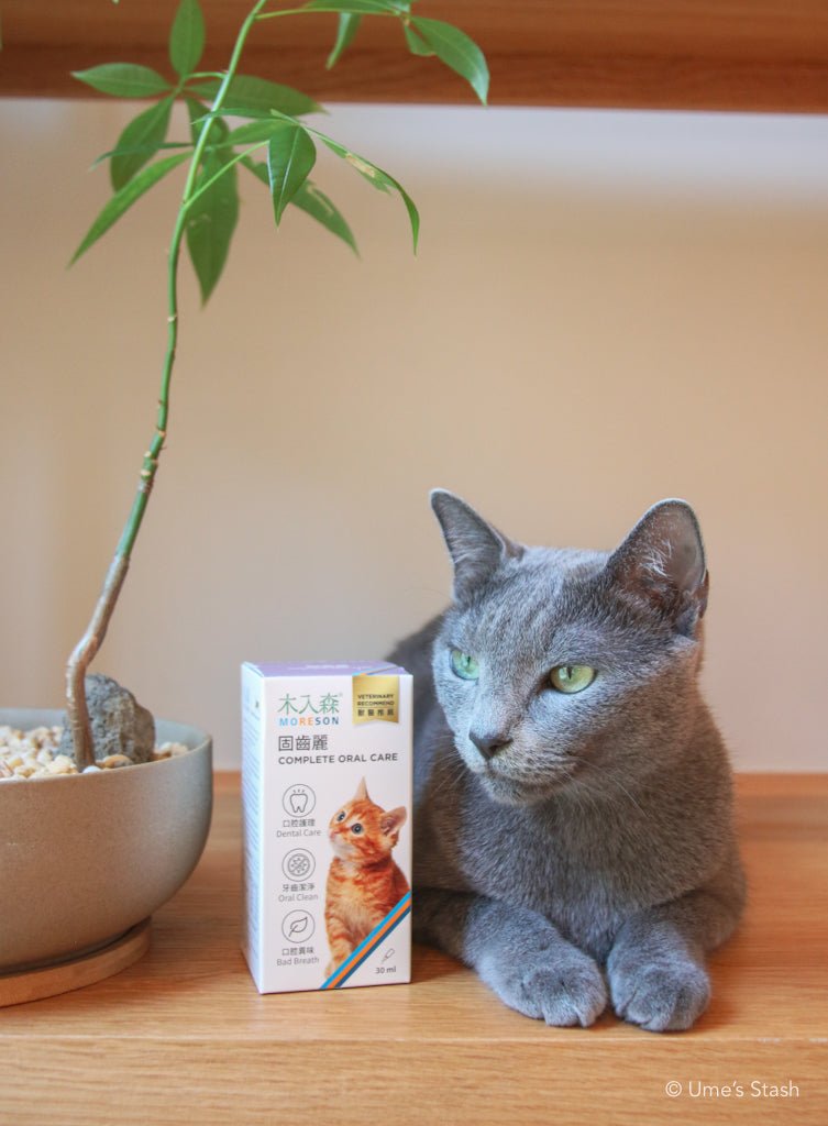 Cat Complete Oral Care Drops - Ume's Stash