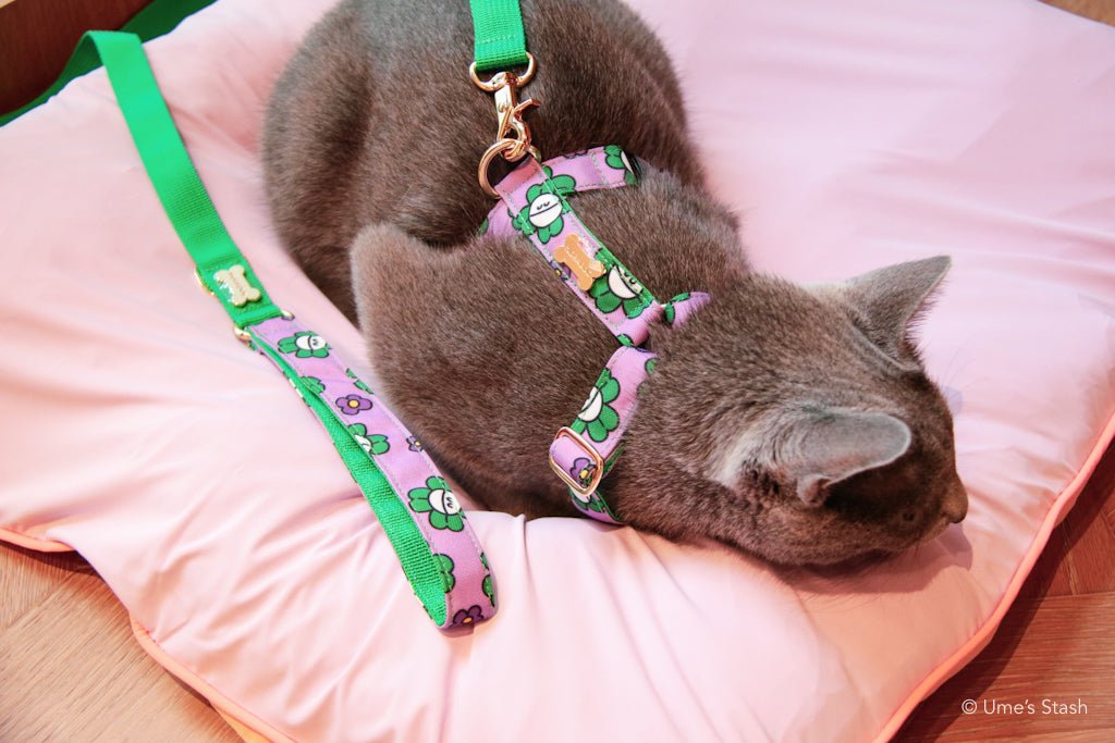 Clover hand leash - Ume's Stash